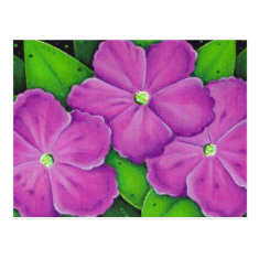 Three Purple Flowers Postcard