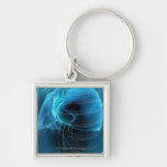 Three quarter view of the heart and lungs keychain