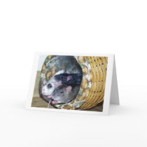 Three Rats in a Basket cards by funwigs Three Rats in a Basket cards