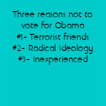 Three reasons not to vote for Obama#1- Terroris... t-shirts