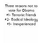 Three reasons not to vote for Obama#1- Terroris... T Shirt