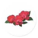 Three Red Roses sticker
