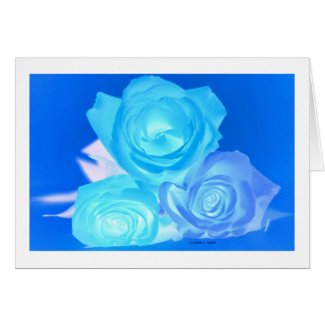 Three roses, glowing inverted blue color card