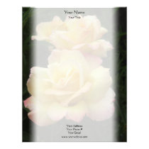 Three Roses in Bloom Letterhead