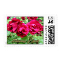 three roses postage by wolffreeborn three roses postage