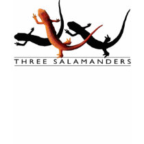 Three Salamanders Ladies' Tee t-shirts