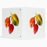 Three Scotch Bonnet Peppers Red Orange Yellow Pic Binder