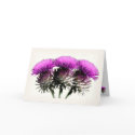 Three Scottish Thistles cards