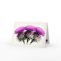 Three Scottish Thistles cards