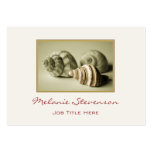 Three Sea Shells Business Card