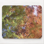 Three Seasons mousepads