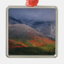 Three seasons of foliage, red maples and fall christmas tree ornaments