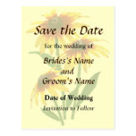 Three Shasta Daisies Save the Date Postcard