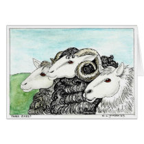 Three Sheep cards by mljohnson Three Sheep cards