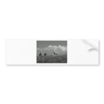 Three sheep in black-and-white bumper sticker