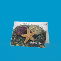 three shells, Thank You cards
