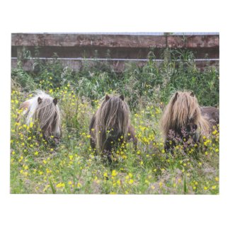 Three Shetland pony stallions NOTEBOOK Memo Pad