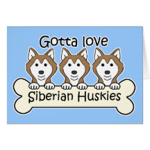 Three Siberian Huskies Greeting Cards