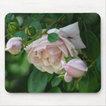 "Three Sisters"- Rose Mousepad