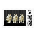 Three Snazzy Cats Postage