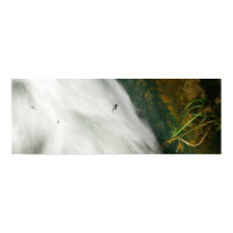Three Spiders posters