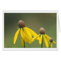 three stand greeting card