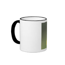 three stand mugs
