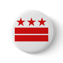 Three Stars 2 Bars Pins