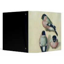 Three studies of a bullfinch vinyl binders