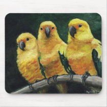 "Three Sun Conures" Bird Art Mouse Pad mousepads by CharlottesWebArt "Three Sun Conures" Bird Art Mouse Pad mousepads