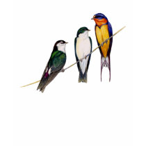 Three Swallows T-Shirt