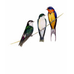 Three Swallows T-Shirt