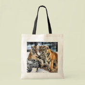 Three Tiger Cubs In Snow Art Gifts