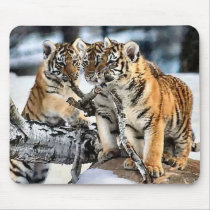Three Tiger Cubs In Snow Art Gifts mousepads by WildByDezign Three Tiger Cubs In Snow Art Gifts mousepads