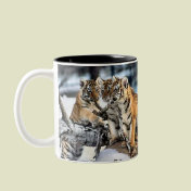 Three Tiger Cubs In Snow Art Gifts