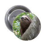 Three Toed Sloth Button