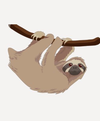 Three Toed Sloth T Shirts