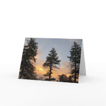 Three Trees at Winter Sunset Card
