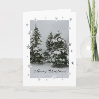 Three Trees Christmas Card card