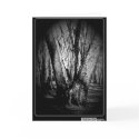 Three Trees Greeting Card