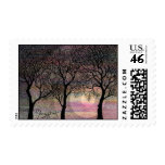 Three Trees on a Pink Watercolor Background Postage Stamps
