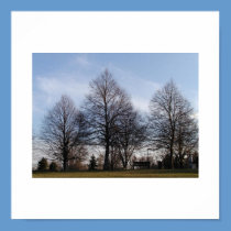 Three Trees posters