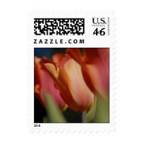 Three Tulips postage