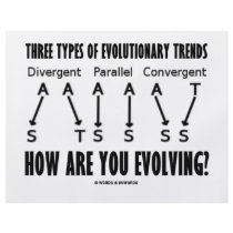 Three Types Of Evolutionary Trends (Evolution) flyers