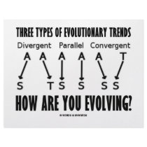 Three Types Of Evolutionary Trends (Evolution) letterhead by wordsunwords Three Types Of Evolutionary Trends (Evolution) letterhead