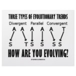 Three Types Of Evolutionary Trends (Evolution) letterhead