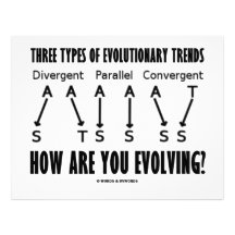 Three Types Of Evolutionary Trends (Evolution) Letterhead Design