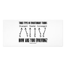 Three Types Of Evolutionary Trends (Evolution) Rack Cards