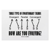Three Types Of Evolutionary Trends (Evolution) stationery
