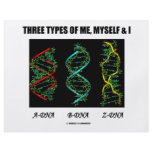 Three Types Of Me, Myself & I (A-DNA B-DNA Z-DNA) flyers